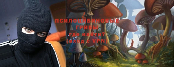 молекула духа Навашино