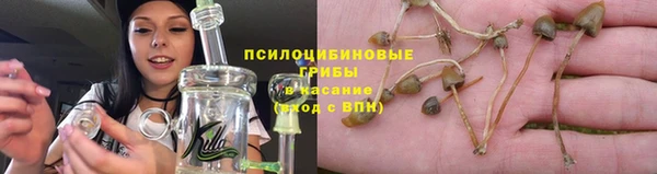 не бодяженный Михайловск