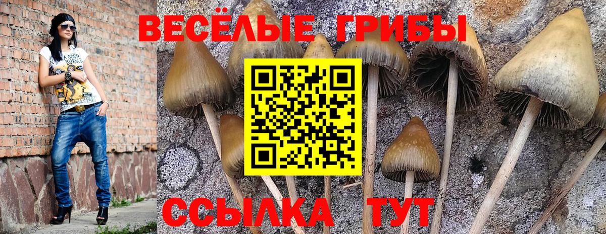 Галлюциногенные грибы Psilocybe  Вход с VPN  где купить   Кунгур 